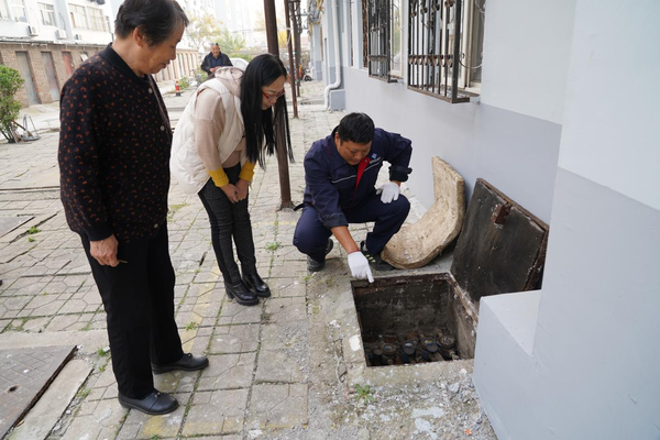 臨寒不亂1.png